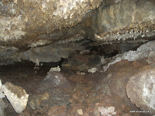 otta Petralia-17-03-2013 10-41-43